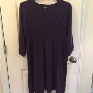 NWT sweater dress